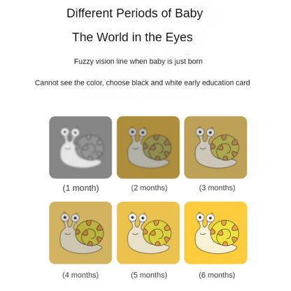 High Contrast Black and White Baby Stimulation Cards for Early Cognitive Development