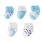 49921667006805|49921667137877