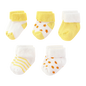49921666744661|49921666974037