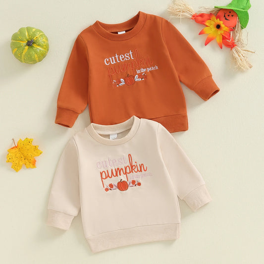 Adorable Halloween Sweatshirts for Toddlers - Pumpkin Embroidered Fall Hoodies for Baby Boys & Girls